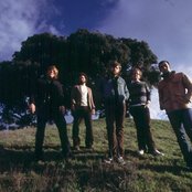 Sherwood - List pictures