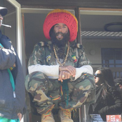 Congo Natty - List pictures