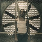 Pop Iggy - List pictures