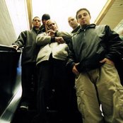 40 Below Summer - List pictures