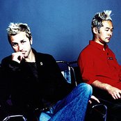 Feeder - List pictures