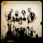 Sleepytime Gorilla Museum - List pictures