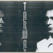Tarwater - List pictures