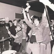 Orchid - List pictures