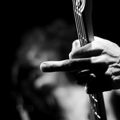 Japanther - List pictures