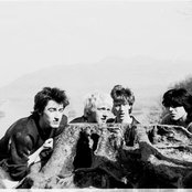 Chameleons - List pictures