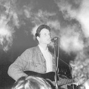 Field Mice - List pictures