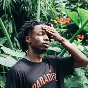 Jazz Cartier - List pictures