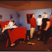 Slick Shoes - List pictures