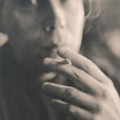 The Golden Palominos - List pictures