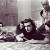 Bush - List pictures