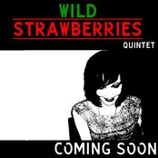Wild Strawberries - List pictures