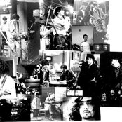 Jack - List pictures