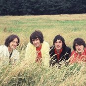 Kinks - List pictures