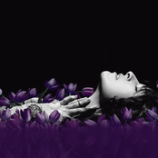 Jesca Hoop - List pictures