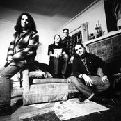 Posies - List pictures