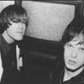 Sammy - List pictures