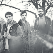 The Color Morale - List pictures