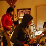 Moss - List pictures