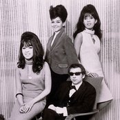 The Ronettes - List pictures