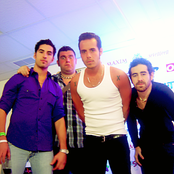 Panda - List pictures