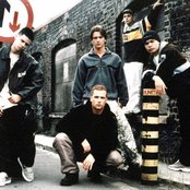 Five - List pictures