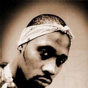 Rza - List pictures