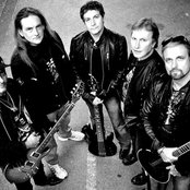 Praying Mantis - List pictures