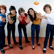 Parchis - List pictures