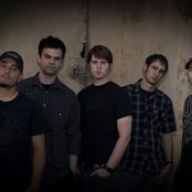 32 Leaves - List pictures