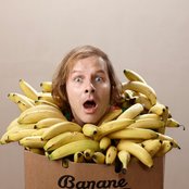 Katerine - List pictures