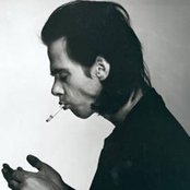 Nick Cave - List pictures