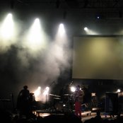 Plants And Animals - List pictures