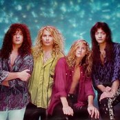 White Lion - List pictures