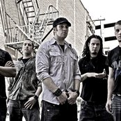 Digital Summer - List pictures