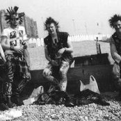 Carnage - List pictures