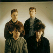 Echo & The Bunnymen - List pictures