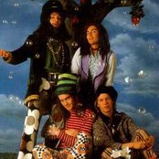 Jellyfish - List pictures