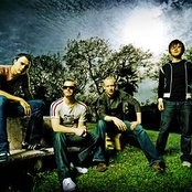 Fray - List pictures