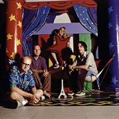 Apples In Stereo - List pictures