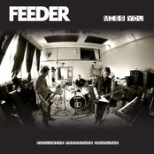 Feeder - List pictures