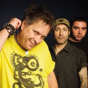 Agent Orange - List pictures