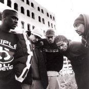 Arsonists - List pictures