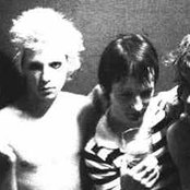 The Raped - List pictures