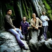 Live - List pictures