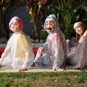 Avey Tare's Slasher Flicks - List pictures