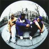 Black Moon - List pictures