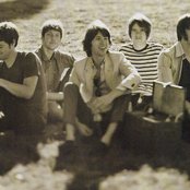 The Young Veins - List pictures