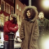 Polar Bear - List pictures