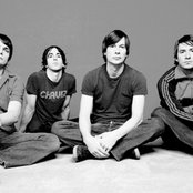 Year Of The Rabbit - List pictures